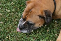 thumbs/img_6377.jpg.jpg