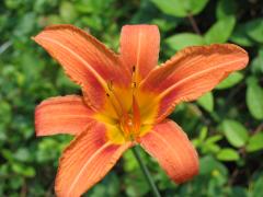thumbs/img_5465.jpg.jpg