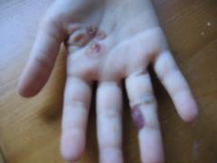 thumbs/img_5503.jpg.jpg
