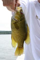 thumbs/pic20070714_104336.jpg.jpg