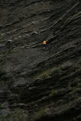 thumbs/pic20070714_165732.jpg.jpg
