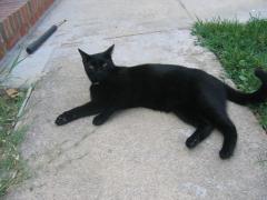 thumbs/pic20070810_075132.jpg.jpg