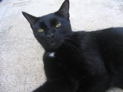 thumbs/pic20070810_075140.jpg.jpg