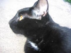 thumbs/pic20070810_075158.jpg.jpg