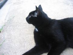 thumbs/pic20070810_075208.jpg.jpg
