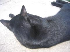 thumbs/pic20070810_075232.jpg.jpg