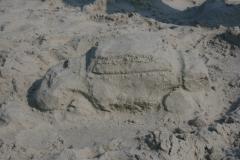 thumbs/pic20070818_155726.jpg.jpg