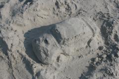 thumbs/pic20070818_155742.jpg.jpg