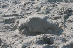 thumbs/pic20070818_155754.jpg.jpg