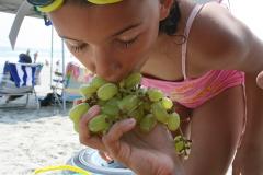 thumbs/pic20070819_140702.jpg.jpg