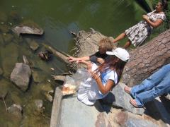 thumbs/pic20070909_142816.jpg.jpg