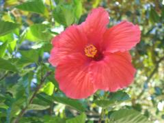thumbs/pic20070909_145944.jpg.jpg