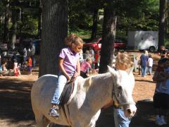 thumbs/pic20070929_135546.jpg.jpg