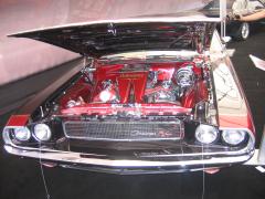 thumbs/pic20071102_151246.jpg.jpg
