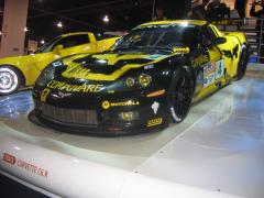 thumbs/pic20071102_155016.jpg.jpg